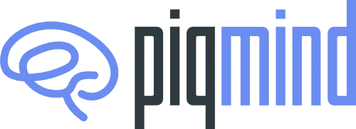 PiQ MindLogo